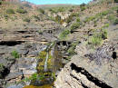 Marie Smith's site: Little Canyon Hiking Trail in the Roggeveld
